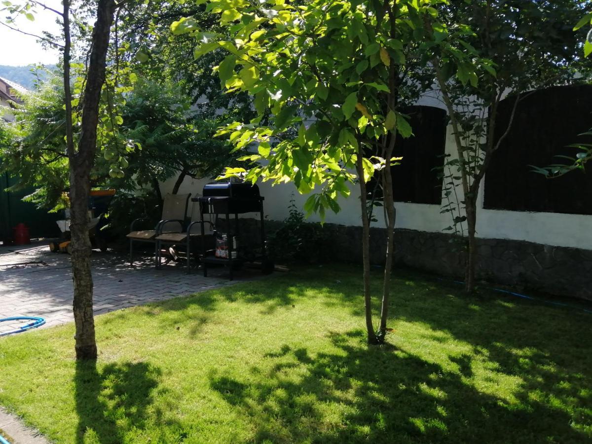 مبيت وإفطار براشوف Casa Scheiana المظهر الخارجي الصورة
