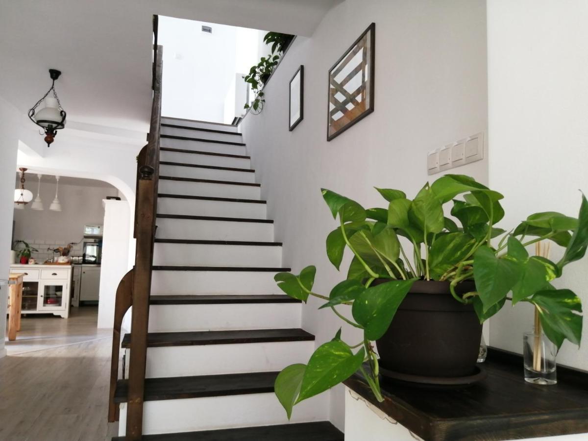 مبيت وإفطار براشوف Casa Scheiana المظهر الخارجي الصورة