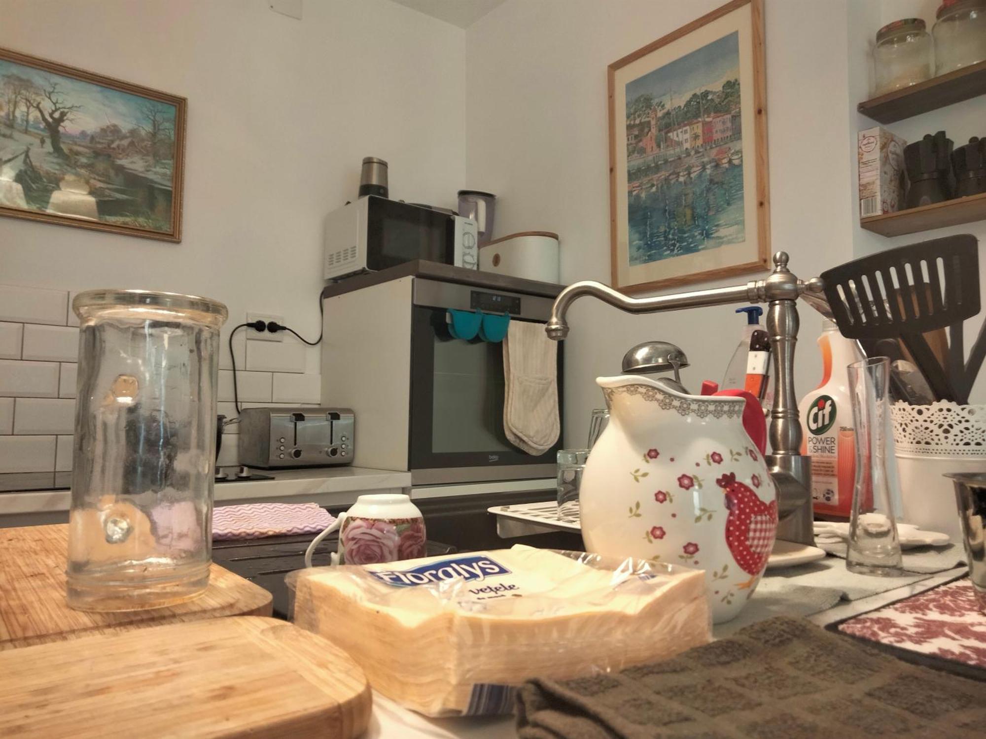 مبيت وإفطار براشوف Casa Scheiana المظهر الخارجي الصورة